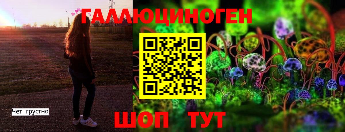 Иваново  Псилоцибиновые грибы Cubensis  Вход с VPN 